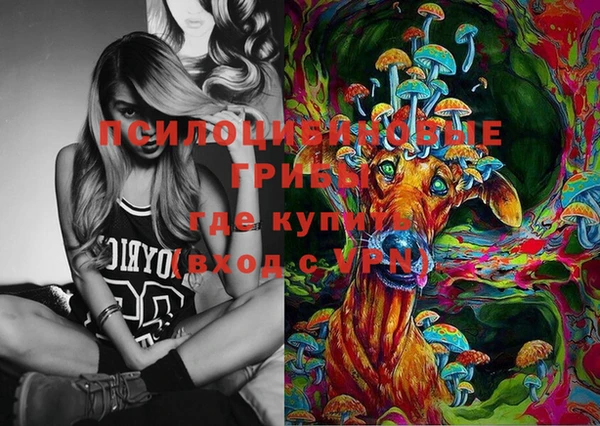 молекула духа Нязепетровск