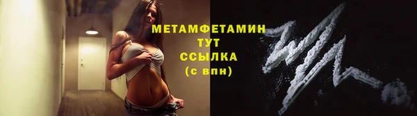 шишки Новозыбков