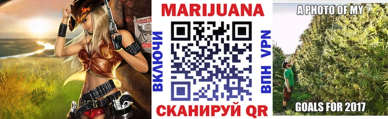 Канабис сатива  Кизел 